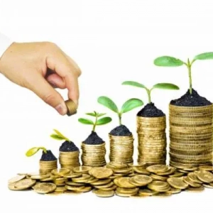 Investičný rozpočet: koncepcia, štruktúra, financovanie a náklady