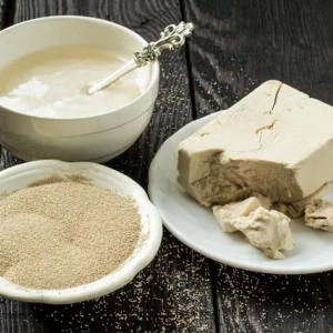 Braga sa netúla dobre: čo robiť? Optimálna teplota fermentácie braga. Braga recept na mesačný svit