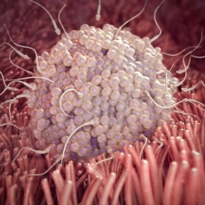 Ivf v kazani: kliniky, čakacie zoznamy, vlastnosti postupu a recenzie pacientov