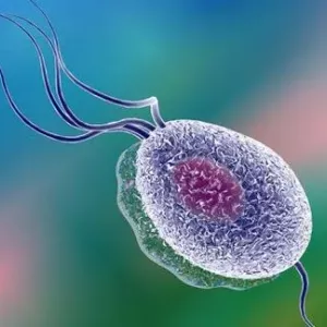 Ako liečiť trichomoniázu: príčiny, opis symptómov, terapia a prevencia