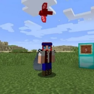 Ako nájsť priateľa v minecraft: popis všetkých dostupných metód