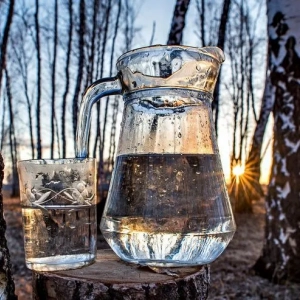 Ako si vyrobiť brezovú šťavu doma: recepty a užitočné tipy