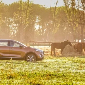Kia-sportage: spotreba paliva, vybavenie, technické vlastnosti a výkon