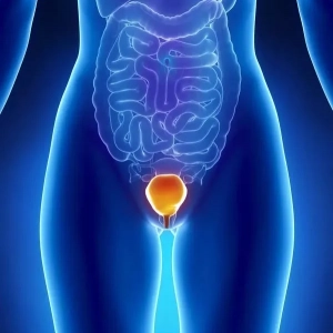 Prečo močový mechúr bolí u žien? Príznaky chorôb, diagnostika a liečebné metódy. Ktorého lekára by som mal kontaktovať kvôli bolesti močového mechúra