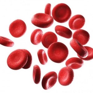 Zvýšený hemoglobín u psov: príčiny, príznaky, liečba, diéta