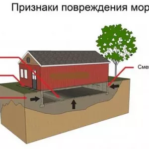 Zdvíhanie pôdy: príčiny, výpočet, minimalizácia škôd