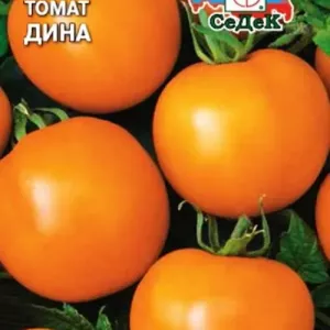 Tomato dina: popis odrody, vlastnosti, výnos, fotografia