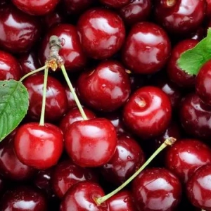 Čerešňový koláč s mascarpone: ingrediencie, recept, tipy na varenie, dekorácia