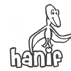 Význam mena hanifa. Výklad písmen v mene hanifa